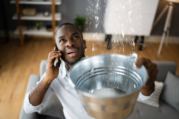 Best Local water damage restoration  in Kingsley, MI
