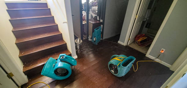 Best Water damage restoration near me  in Kingsley, MI