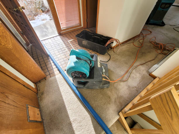 Best 24/7 water damage repair  in Kingsley, MI