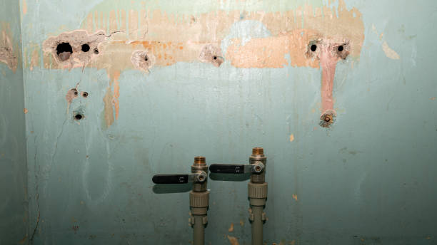 Best Local water damage restoration  in Kingsley, MI