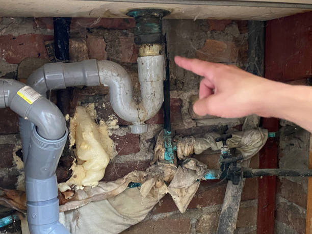 Best Water damage restoration specialists  in Kingsley, MI