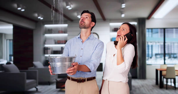 Best Water damage contractors near me  in Kingsley, MI
